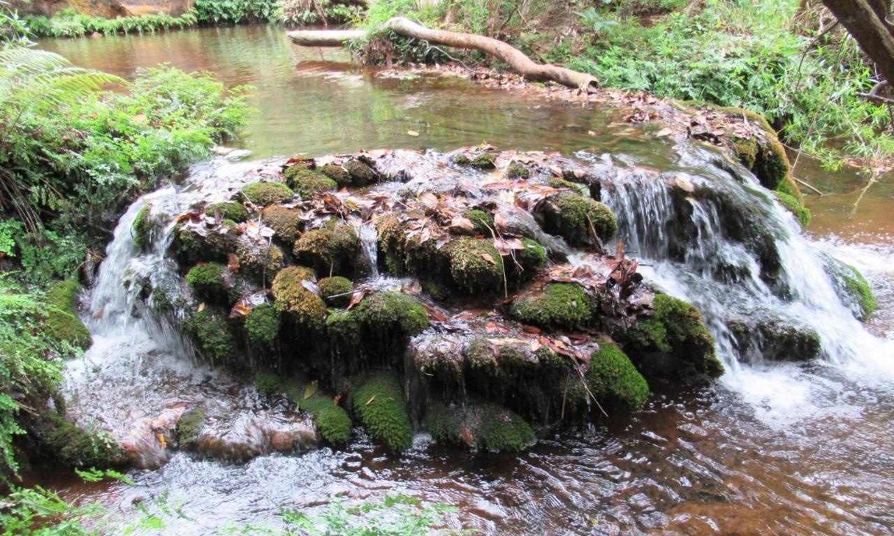 Sabie Self Catering Apartments エクステリア 写真
