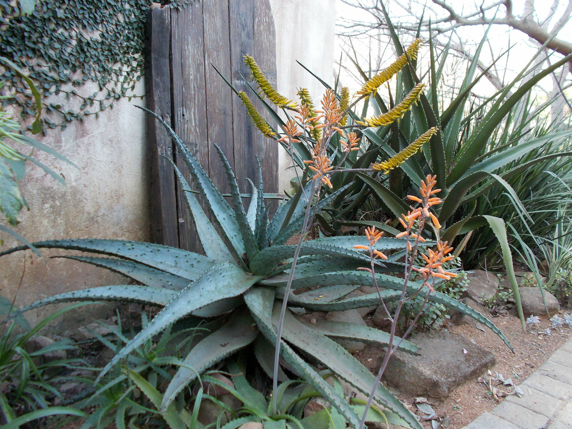 Sabie Self Catering Apartments エクステリア 写真